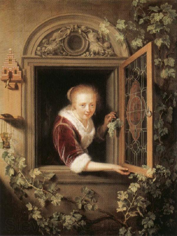 Gerrit Dou Girl at the Window Germany oil painting art
